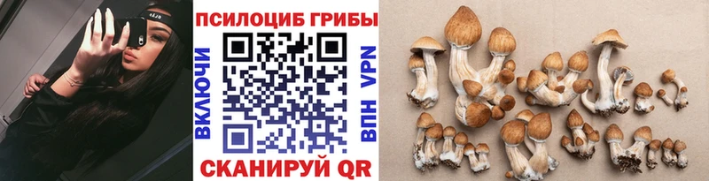 Галлюциногенные грибы MAGIC MUSHROOMS  Купить закладки  Гагарин 